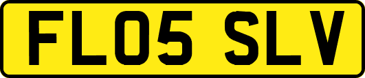 FL05SLV