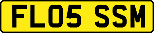 FL05SSM