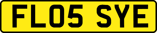 FL05SYE