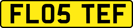FL05TEF