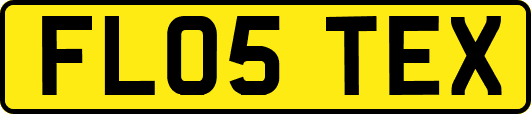 FL05TEX