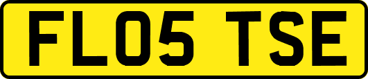 FL05TSE