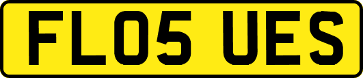 FL05UES