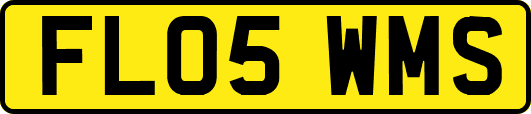 FL05WMS