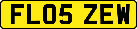FL05ZEW