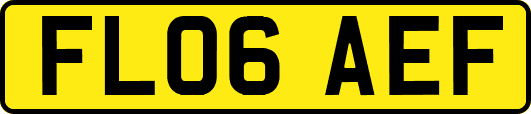 FL06AEF
