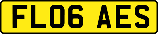 FL06AES