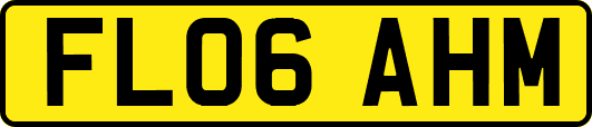 FL06AHM