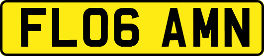 FL06AMN