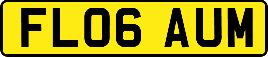 FL06AUM