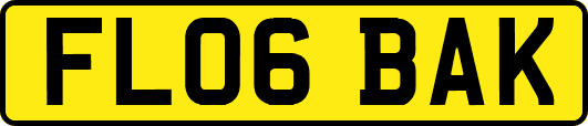 FL06BAK