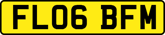 FL06BFM