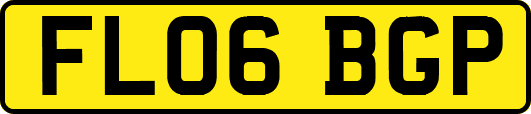 FL06BGP