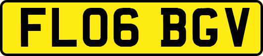 FL06BGV