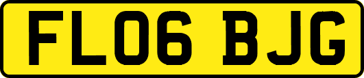 FL06BJG