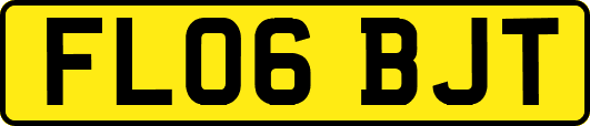 FL06BJT