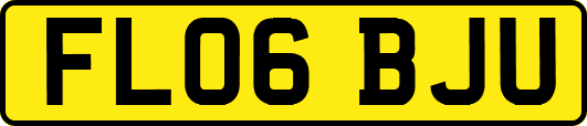 FL06BJU
