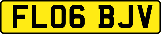 FL06BJV