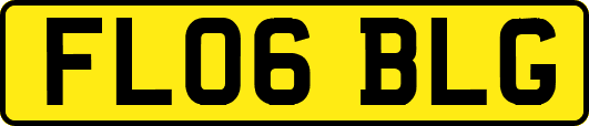 FL06BLG