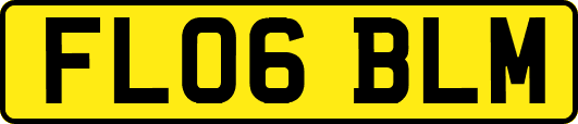 FL06BLM