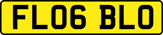 FL06BLO