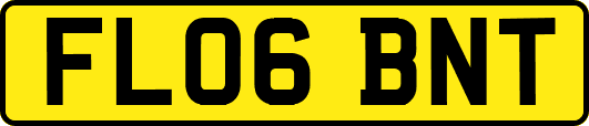 FL06BNT