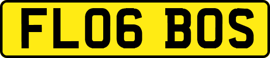 FL06BOS