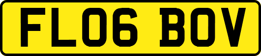 FL06BOV