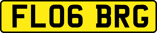FL06BRG