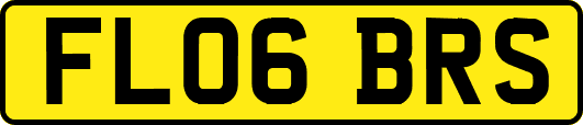 FL06BRS