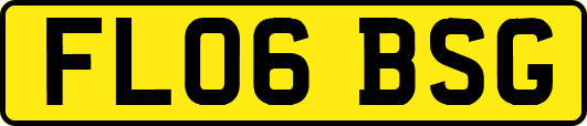 FL06BSG