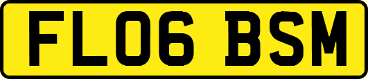 FL06BSM