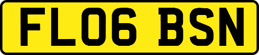 FL06BSN