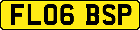 FL06BSP