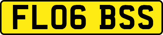 FL06BSS