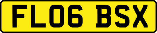FL06BSX