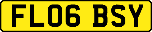 FL06BSY