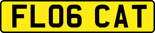 FL06CAT