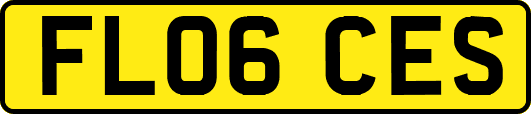 FL06CES