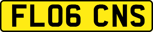 FL06CNS