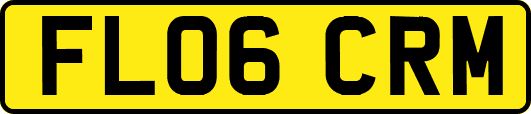FL06CRM