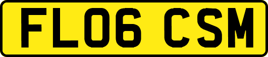 FL06CSM