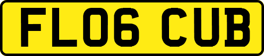 FL06CUB