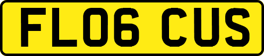 FL06CUS