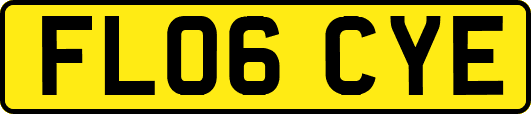 FL06CYE