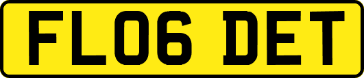 FL06DET