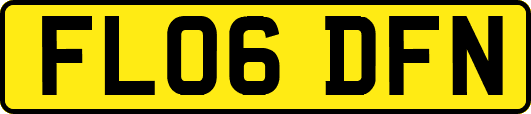 FL06DFN