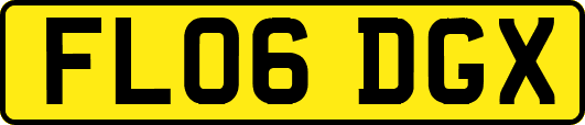 FL06DGX
