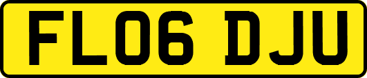 FL06DJU