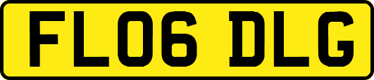 FL06DLG